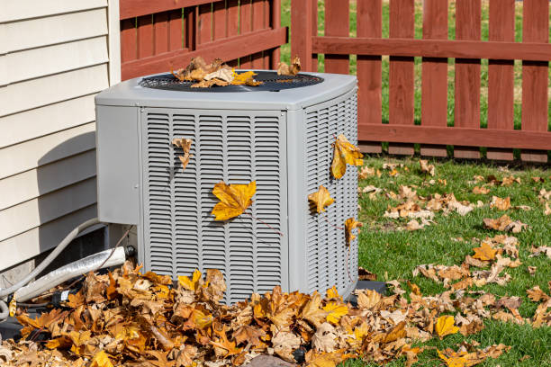 Best Air Filters and Purifiers in Cambridge, MD